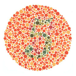 test dyschromatopsies congénitales par le Dr Shinobu Ishihara en 38 planches